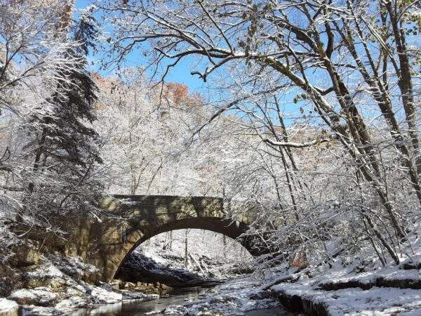 Supervision, Ethics & Self: Cultivating the Clinical Supervisor