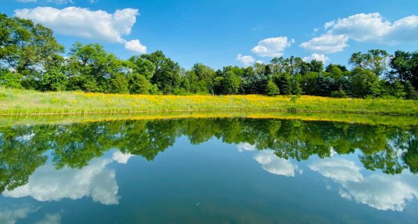 Play, Art & Presence Retreat: Exploring Inner & Outer Landscapes