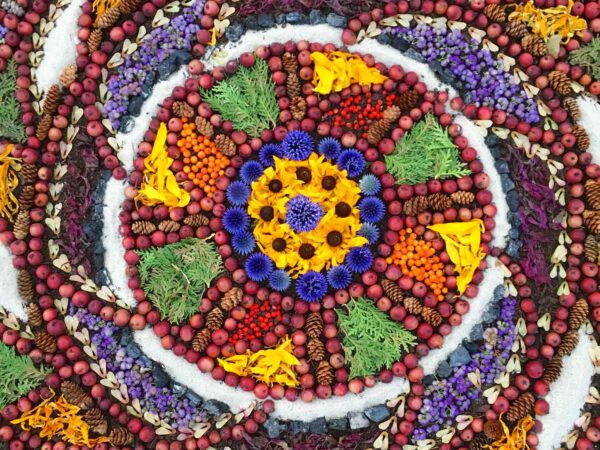 Cultural Competency, Community & Art: a day to play together